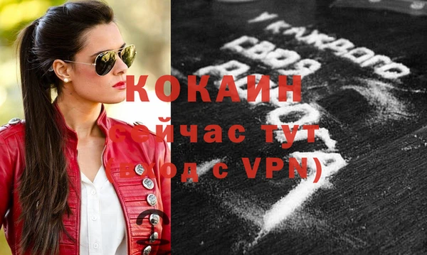 сатива Козельск