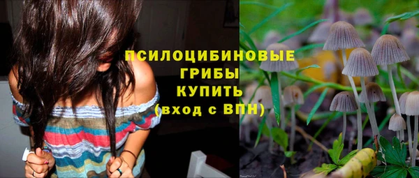 спиды Киреевск