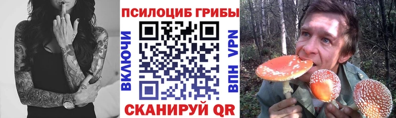 Псилоцибиновые грибы ЛСД  Купить закладки  Плавск 